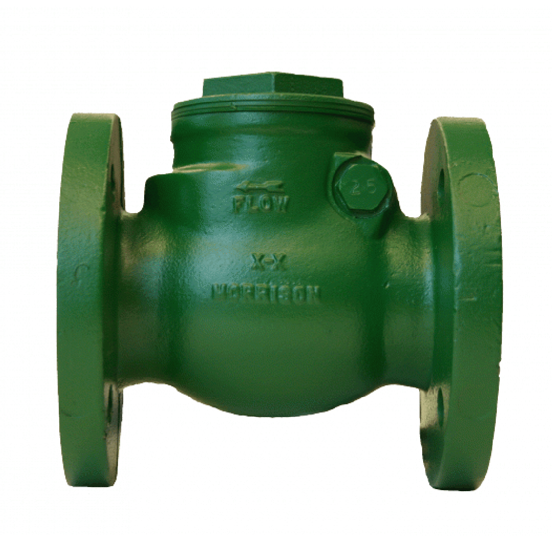 SWING CHECK VALVE - FLANGED, DUCTILE IRON