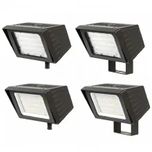 Traditional Flood Large